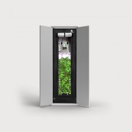 Caluma Readymade 100 Growbox Komplettset