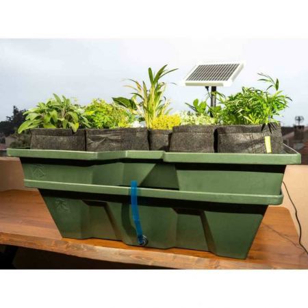 Ebb&Grow Solar | Ebbe Flut System | Terra Aquatica (GHE)